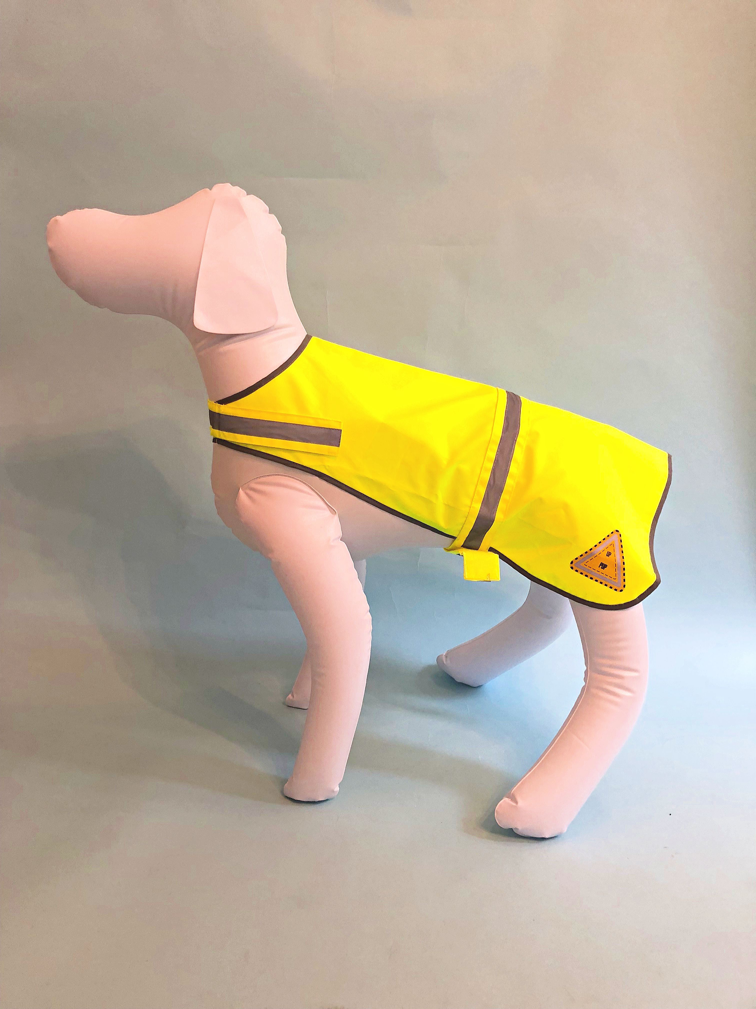 Racedog safety vest - Safety - Products 